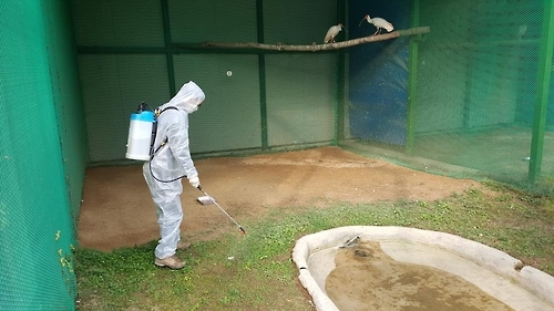 따오기 집 방역작업 합니다