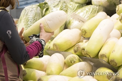 설 지났는데 밥상물가 되레 올라…"장보기 겁난다" 주부들 한숨(종합) - 2