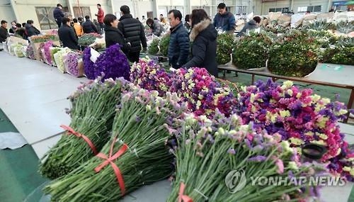 "꽃시장 대목 졸업시즌 왔건만…" 우울한 화훼농가 - 1