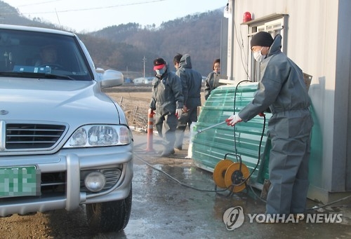 보은 구제역 방역