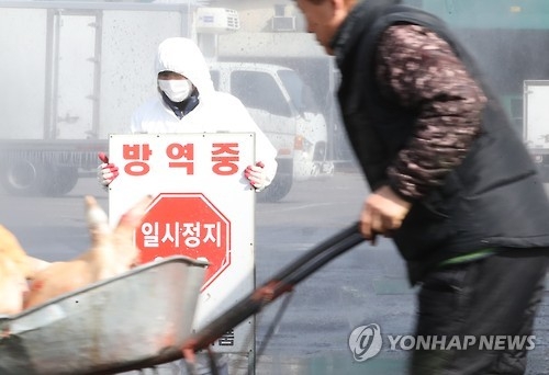 피하고 싶은 구제역