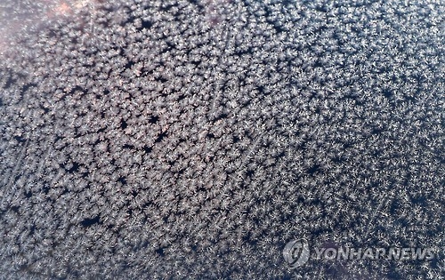 쌀쌀한 아침