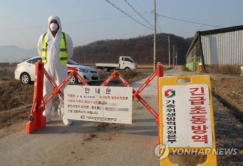 충북 보은서 구제역 의심농가 2곳 추가 발견…전국 8건으로(2보) - 1