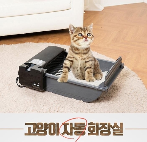 홍삼 영양제 먹고, 리더십스쿨 다녀…반려견들 우아하게 산다(종합) - 2