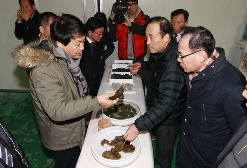 '부안 해삼 6차 산업화'를 위한 현장회의