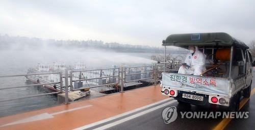 4·19 묘지 쇠기러기 폐사체 고병원성 AI 확진…가금류 이동제한(종합) - 2