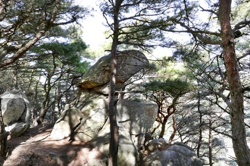 두꺼비 형상을 닮은 두꺼비 바위