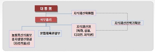 지식재산 중심 조직 개편안의 하나