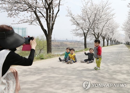 벚꽃이 만개한 충북 충주시 봉방동 하방마을에서 어린이들이 귀여운 표정으로 기념사진을 찍고 있다 [연합뉴스 자료사진]