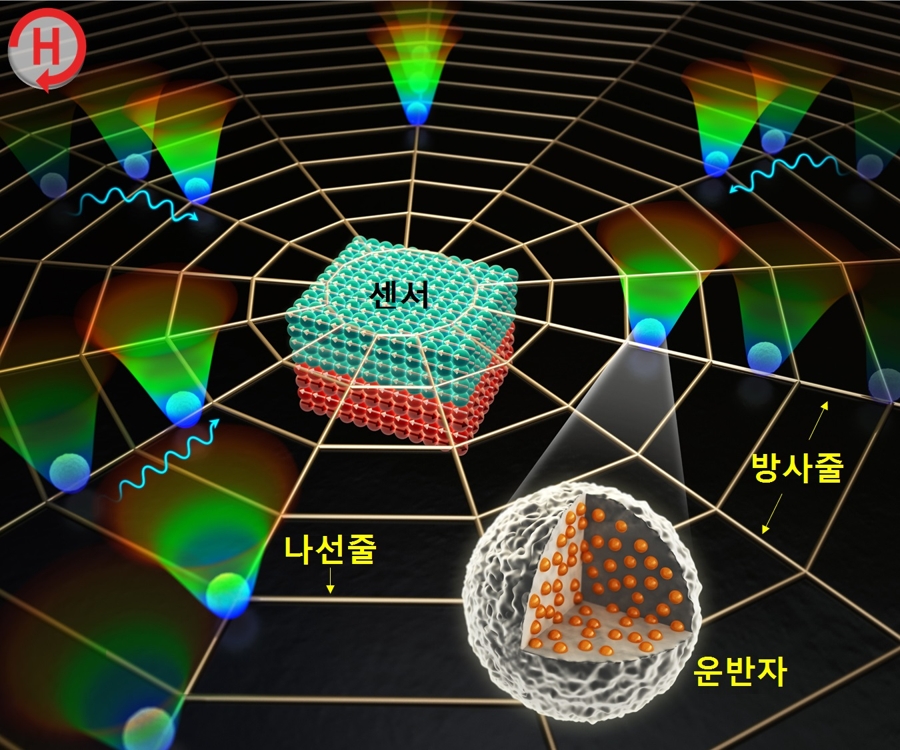 DGIST, 거미집 모방한 바이오센서 플랫폼 개발 - 1
