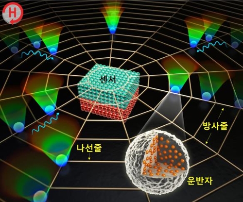 거미집을 모방한 바이오센서 플랫폼 모식도