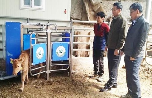 "송아지 로봇으로 키운다"…진안군 '로봇 포유기' 도입 - 1