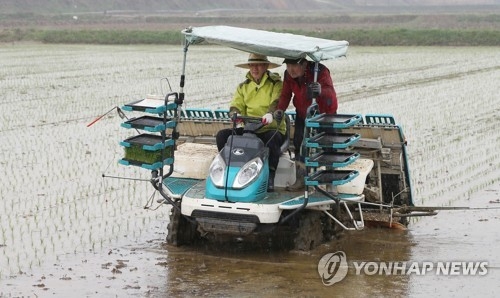 올해 충북 첫 모내기