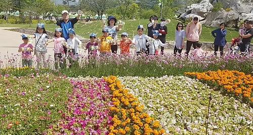 "나비야 훨훨 날아라"