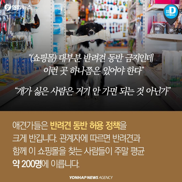 [카드뉴스] '반려견 동반 쇼핑몰' 등장에 갈리는 여론 - 4