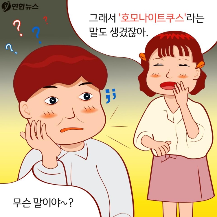 [카드툰] 잠들지 못하는 '호모나이트쿠스' - 대한민국 심심한 역사 - 11