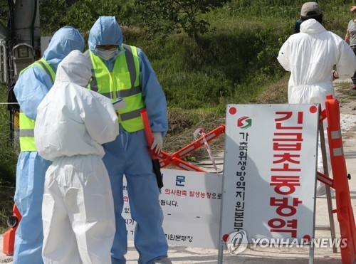군산 오골계 농가서 AI 의심축 발생