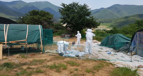 양산 AI 의심농가 방역작업