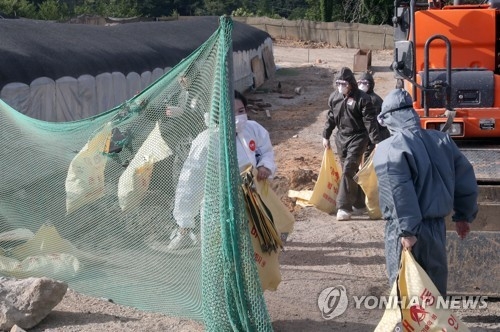 울산 AI 비상…닭 살처분