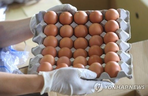 태국산 계란 검역용 샘플 [연합뉴스 자료사진]