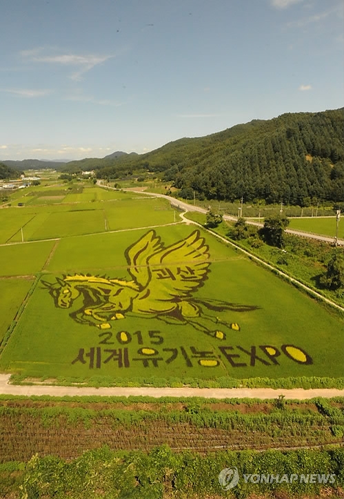 연합뉴스 자료 사진