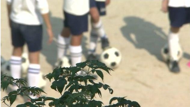 일본 중학교 점심시간은 15분?…"너무 짧다" 사회적 논의 확산 - 3