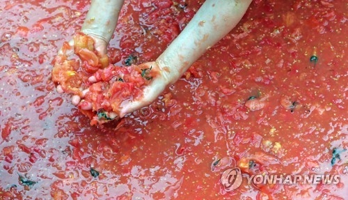 토마토 속에서 황금반지를 찾는 관광객