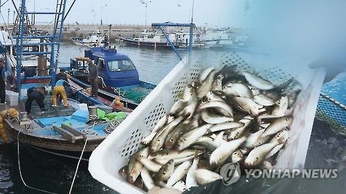 제철 맞은 전어