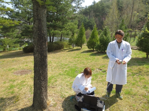 수목을 진료하는 충북도산림환경연구소 임업연구사