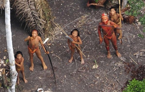브라질 미접촉 인디안 부족. 출처: survivalinternational.org