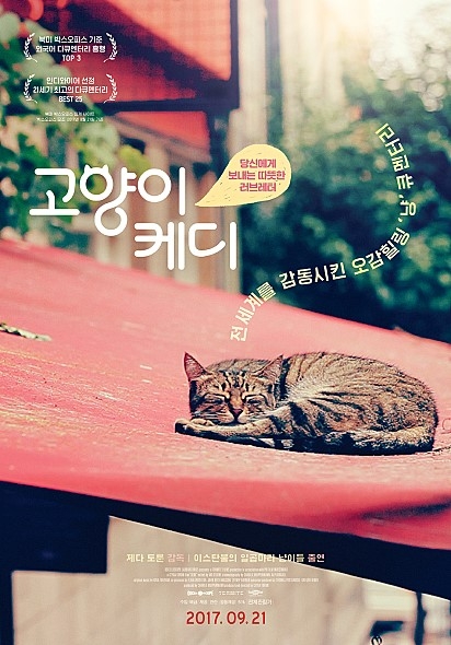 다큐멘터리 '고양이 케디'의 포스터 [영화사 찬란]