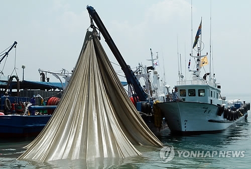 멸치잡이 선단