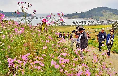 청산도