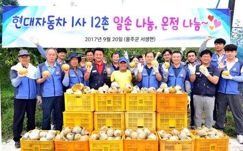 현대차 울산공장, 자매결연마을 배 수확 돕기