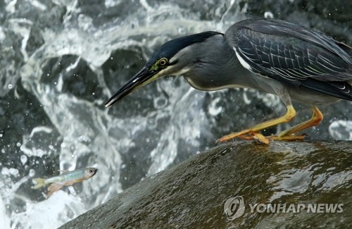 어색한 조우