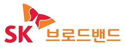 SK브로드밴드, 연휴 첫날 접속 장애…이용자 불편 - 1
