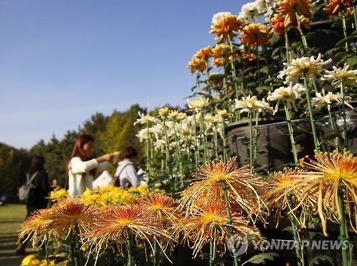 포근한 날씨에 충북 유원지·산 행락객 '북적' - 1