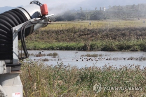 증평 보강천 야생조류 분변서 AI 바이러스 검출…방역 비상 - 1
