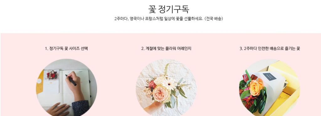 꽃 정기구독 화면