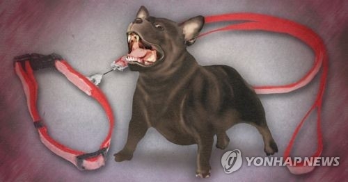개물림 사고 PG[연합뉴스]