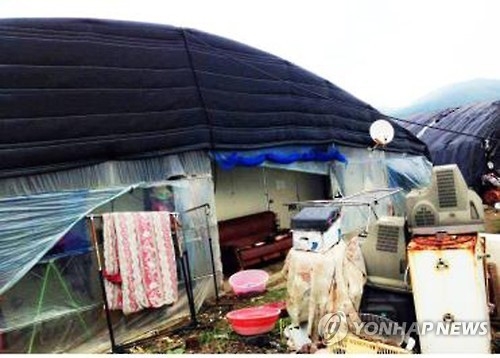 농업이주노동자가 쓰는 비닐하우스 숙소 [연합뉴스 자료사진]