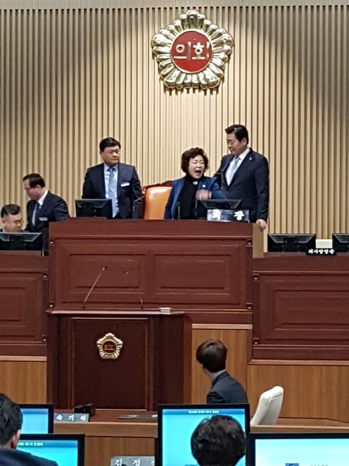 선거구와 선거구별 의원 정수 확정 항의