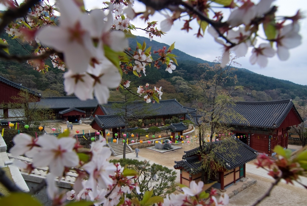 화엄사