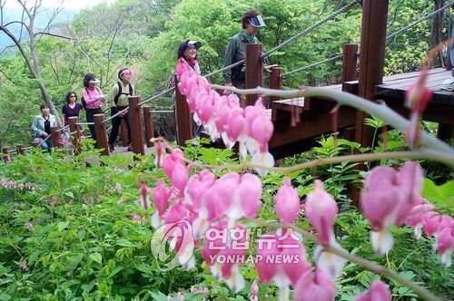 "우리 식물 보러오세요"…완주 대아수목원서 사진 전시회 - 1