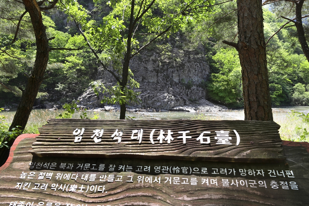 임천석대