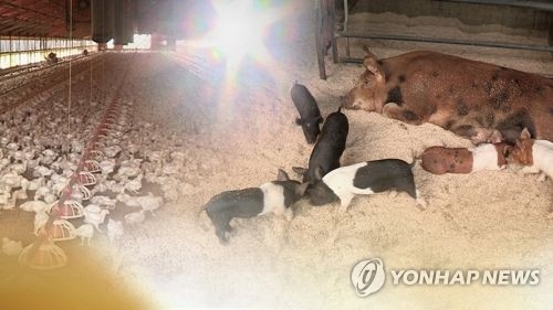 연합뉴스TV 제공