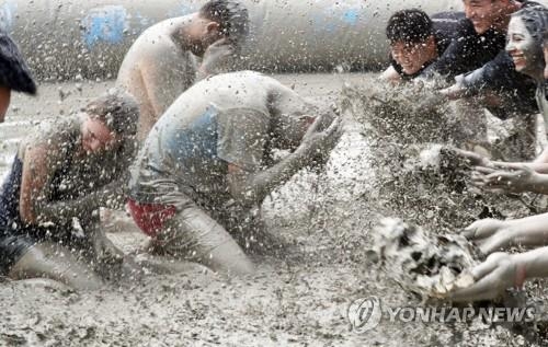 머드 축제