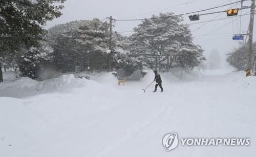 눈과의 전쟁