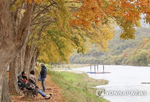 "가을 정취에 풍덩"…충북 유명산·유원지마다 '북적' - 1