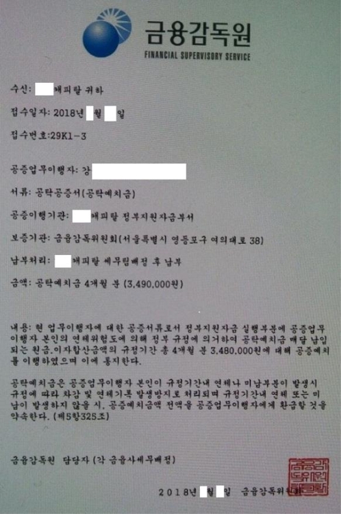 가짜 금감원 공문